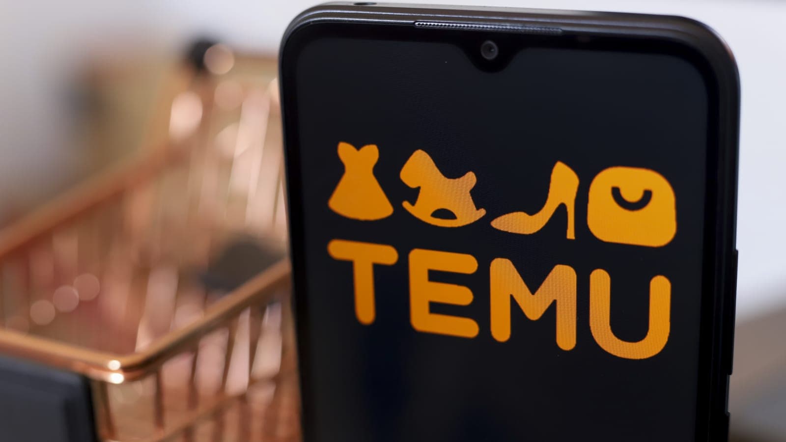 Why Temu International Shipping Options Enhance the App Experience