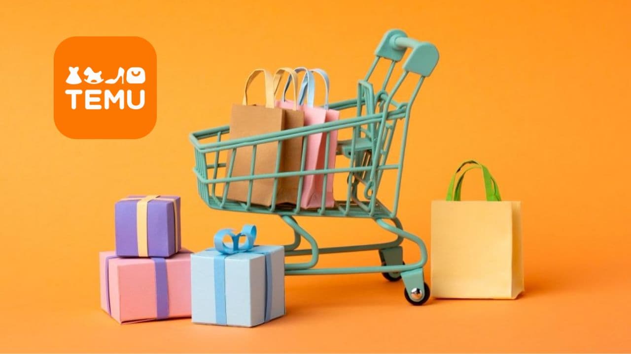 Exploring Product Categories Through Temu Shopping Recommendations